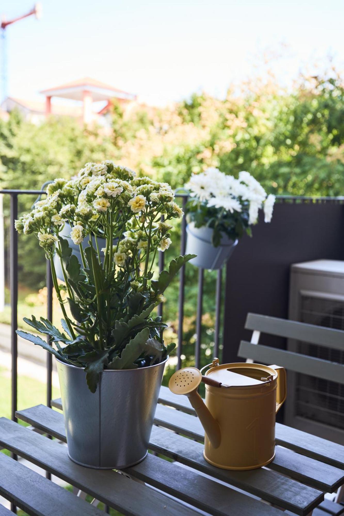 Apartamento Deluxe Navigli